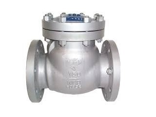 CHECK VALVES IN KOLKATA